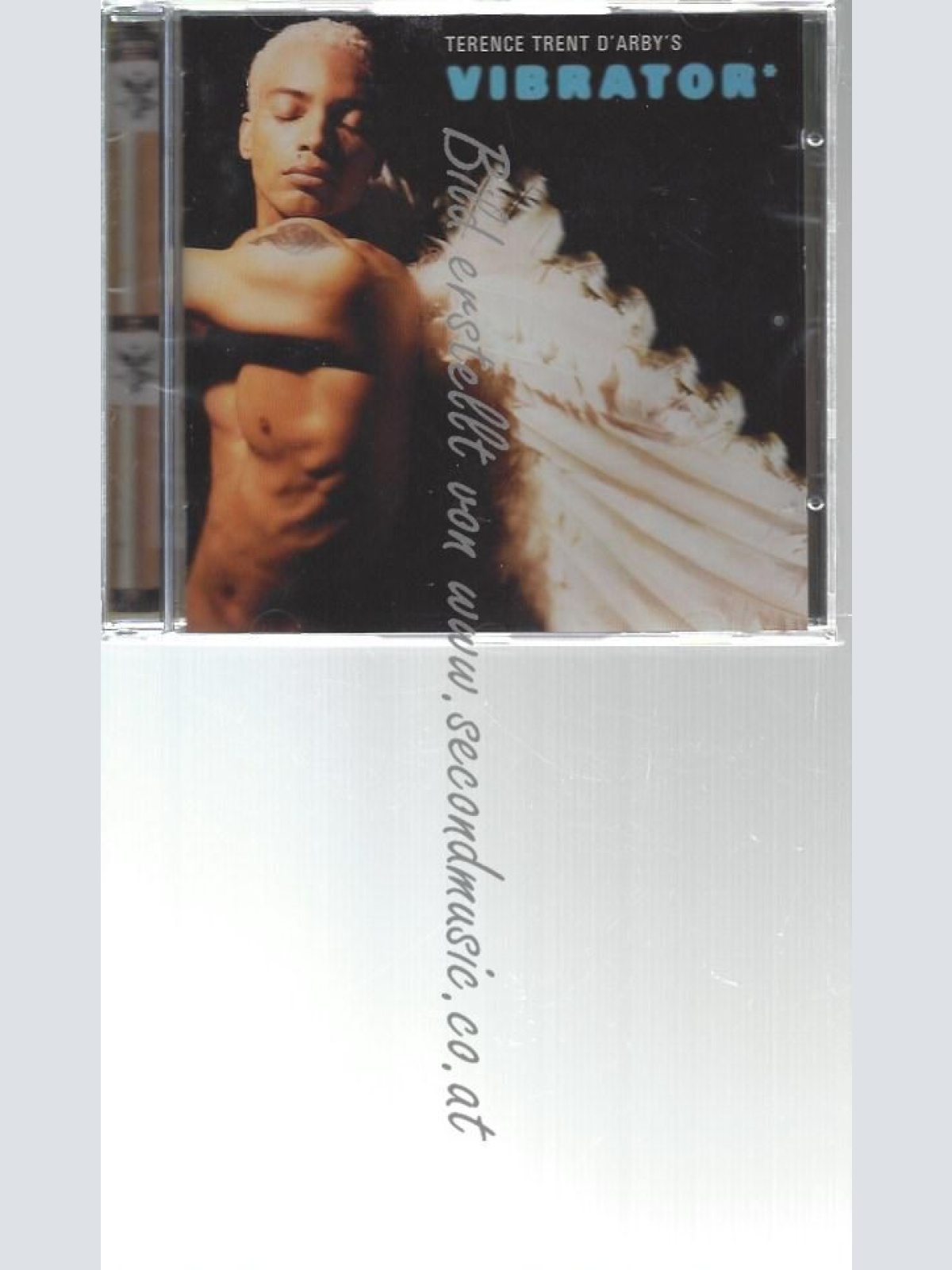 CD--TERENCE TRENT D'ARBY--    TTD'S VIBRATOR