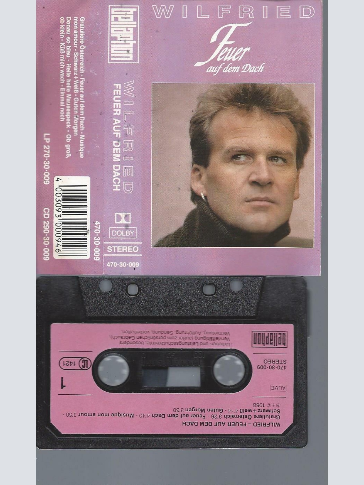 MC--WILFRIED FEUER AUF DEM DACH