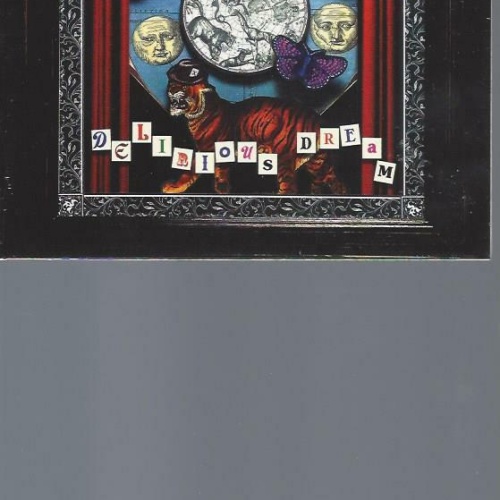 CD // HEALTHY JUNKIES DELIRIOUS DREAM