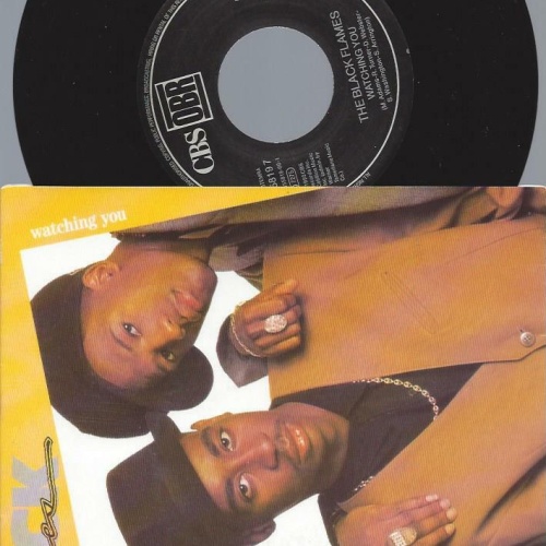 7"   The Black Flames  Watching You