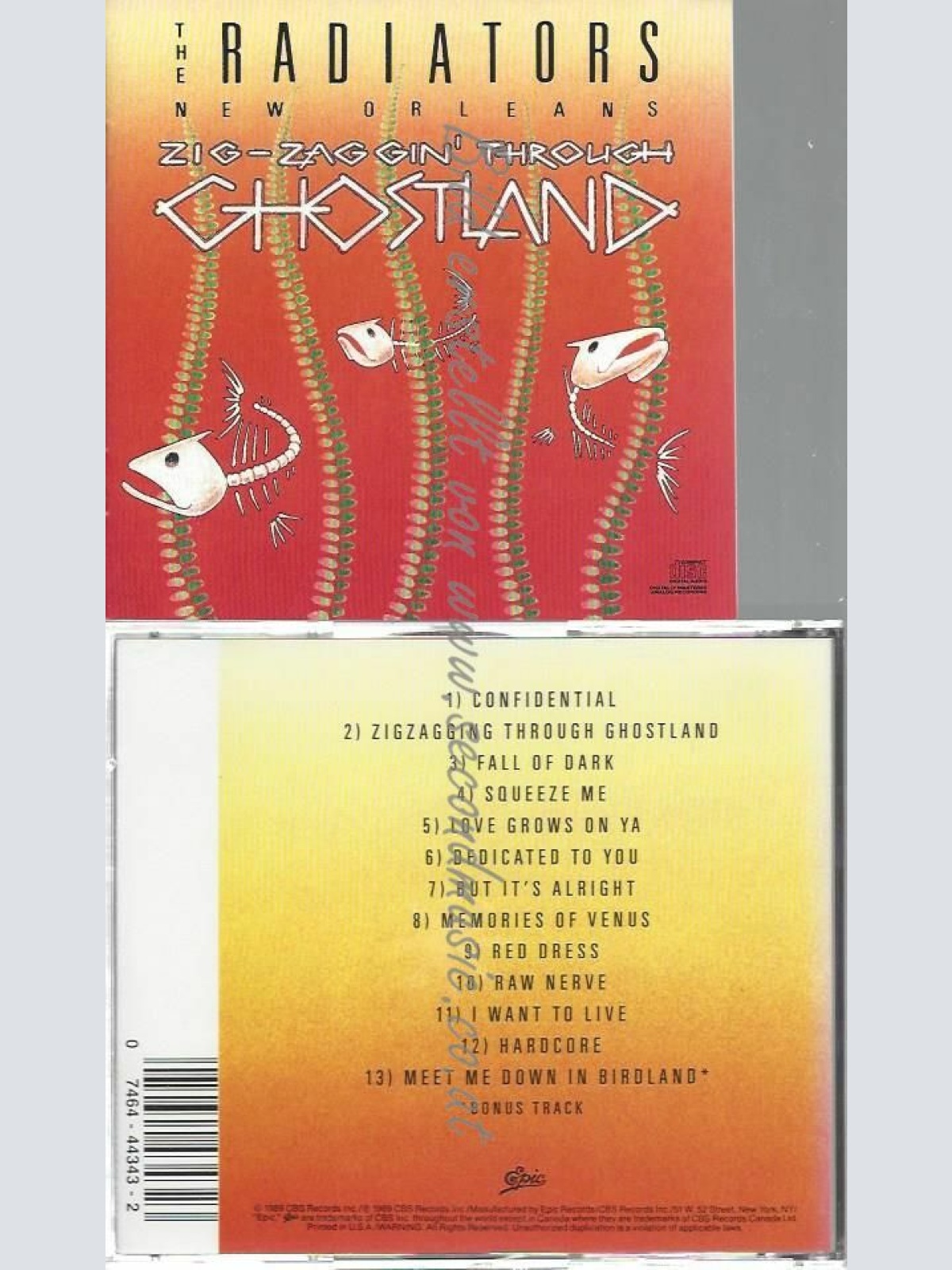 CD--THE RADIATORS | --ZIG-ZAGGIN' THROUGH GHOSTLAND