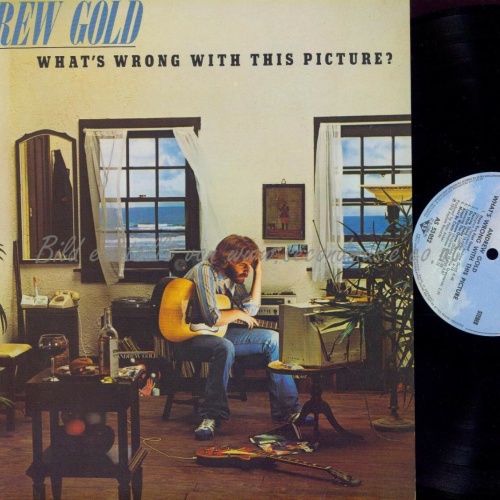 LP -  Andrew Gold – What's Wrong With This Picture  // DE