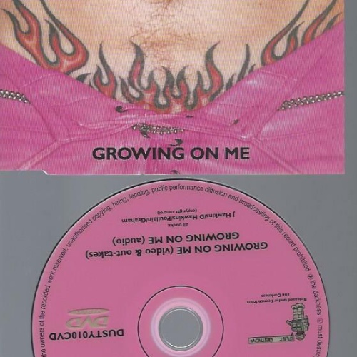 --The Darkness  Growing On Me // DVD Single