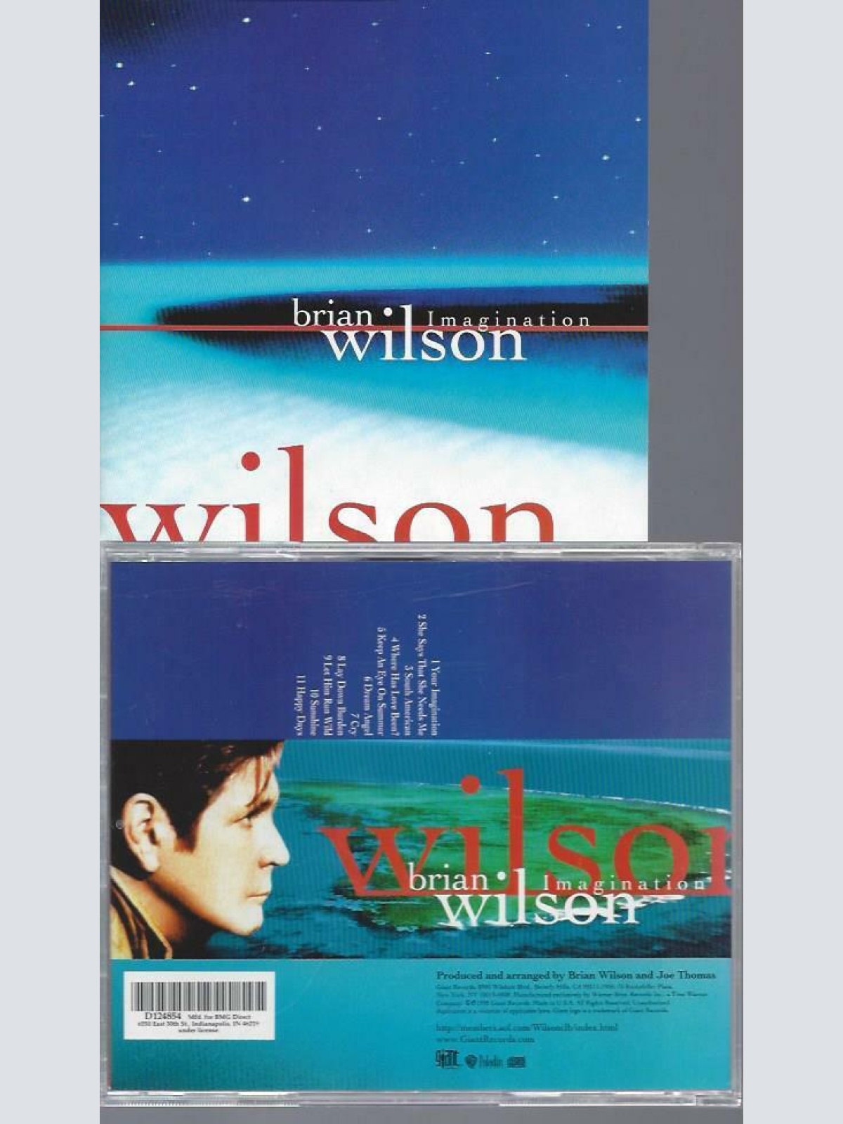 CD-   Brian Wilson  Imagination   // US Club