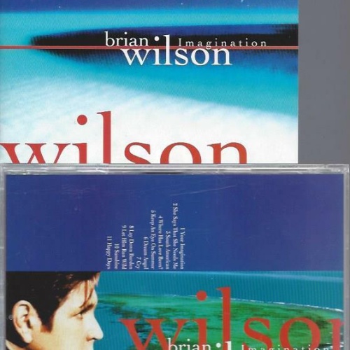 CD-   Brian Wilson  Imagination   // US Club