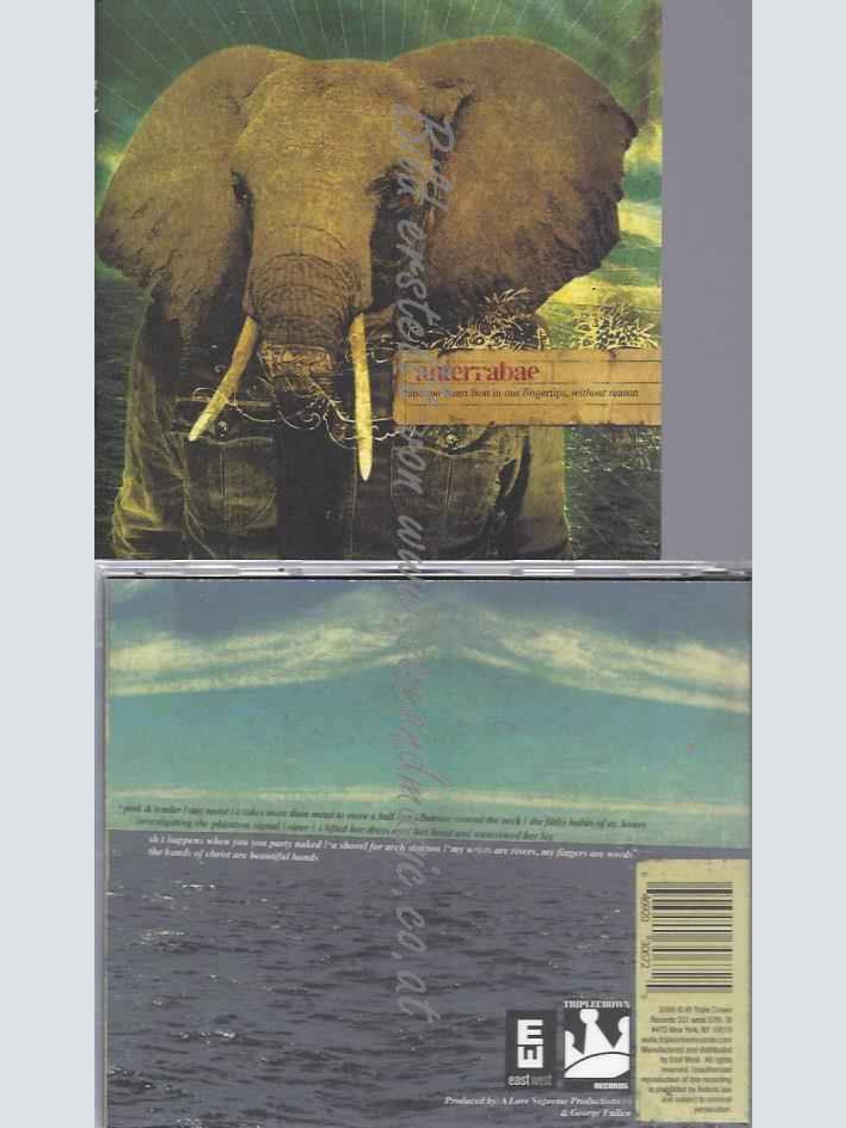 CD--ANTERRABAE | --AND OUR HEART BEAT IN OUR FING