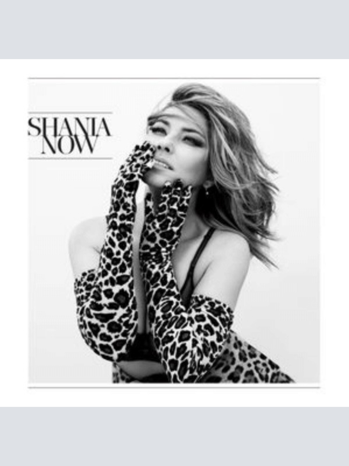 CD, Album Shania Twain - Now