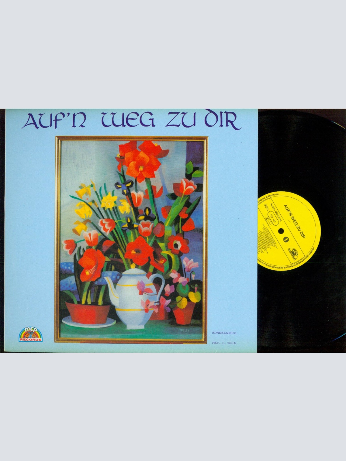 LP- Junge Köflacher Streich // Auf'n Weg Zu Dir  //NM