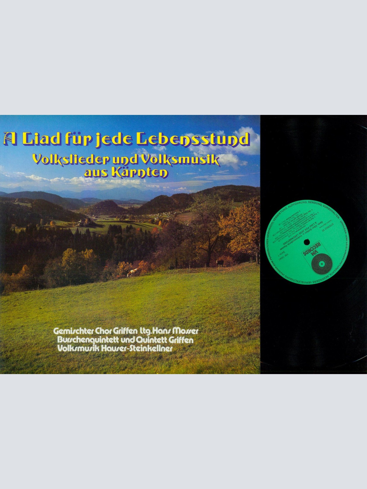LP--A Liad für jede Lebensstund  - Voksmusik aus Kärnten / VM Records / NM