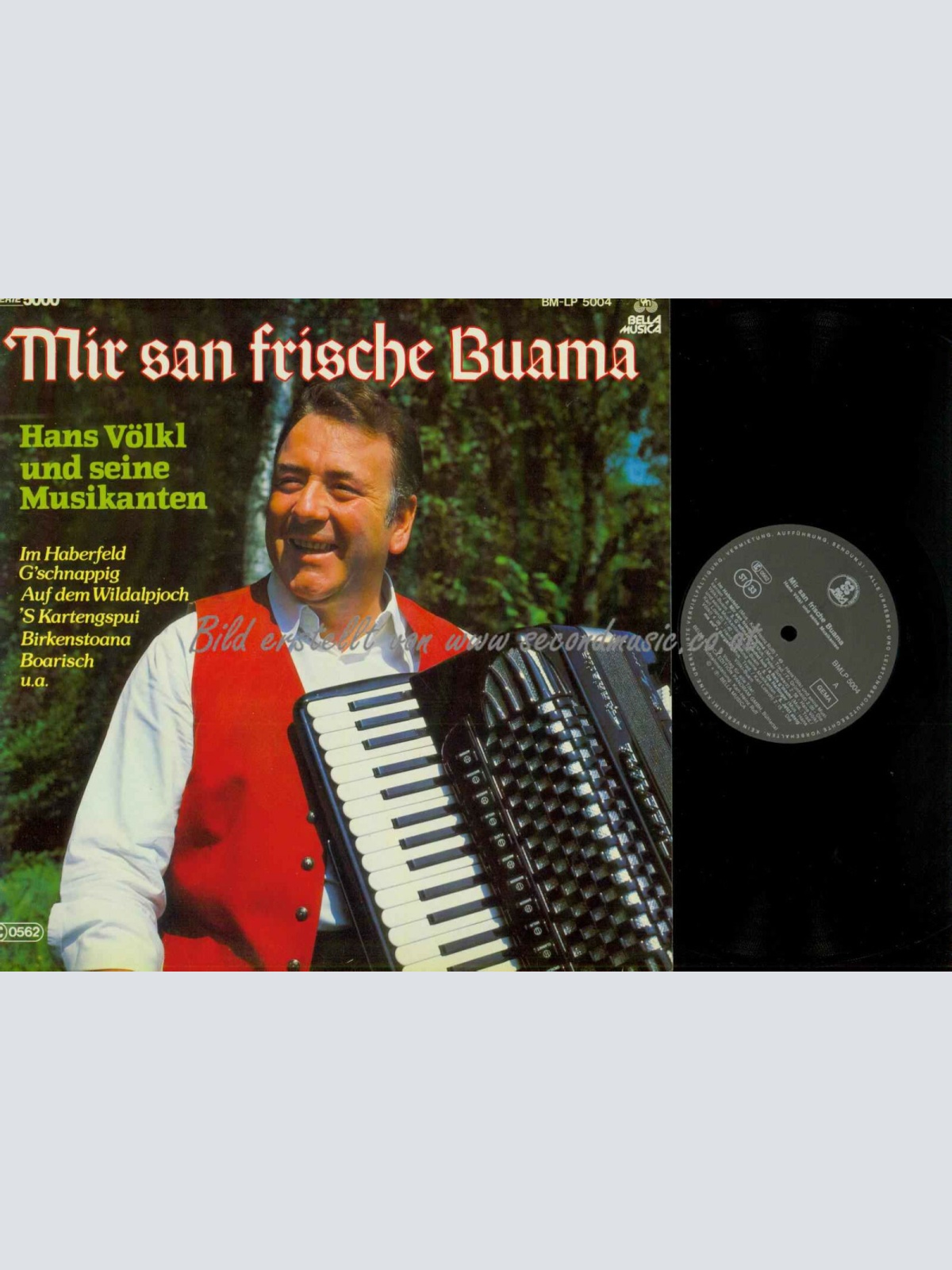 LP-- Hans Völkl --  Mir san frische Buam  /      NM