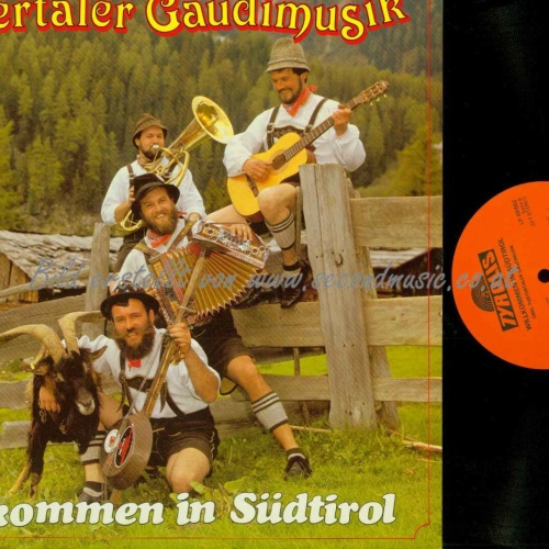 LP-- Orig. Pustertaler Gaudimusik – Wilkommen In Südtirol   //  NM