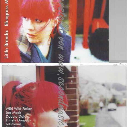 CD--The Unbelievable Truth  --Little Brenda: Bluegrass Missi