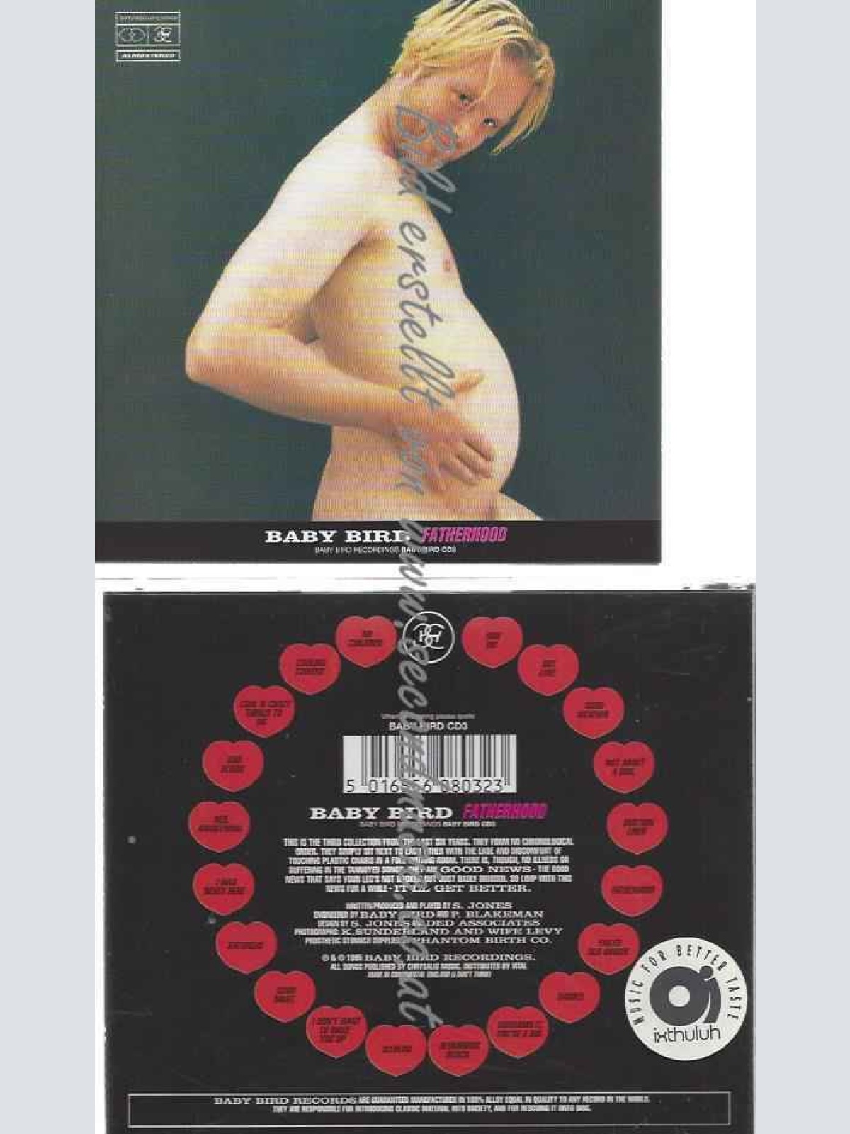 CD--Baby Bird  --Fatherhood