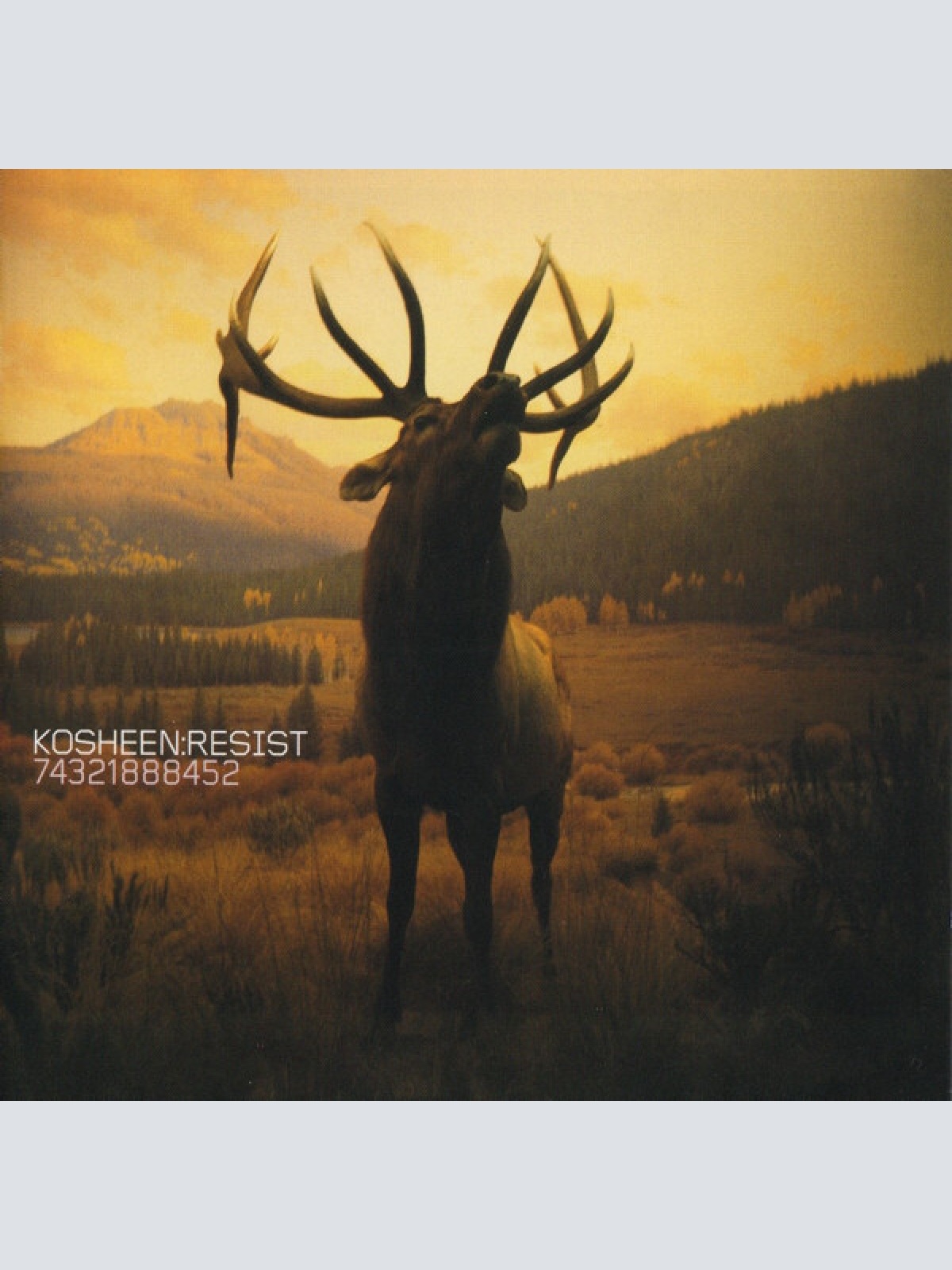 CD, Album Kosheen - Resist