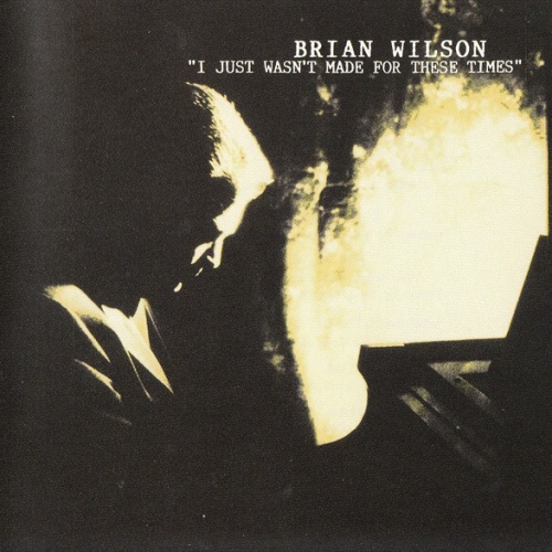CD, Album Brian Wilson - I Just Wasn't Made For These Times