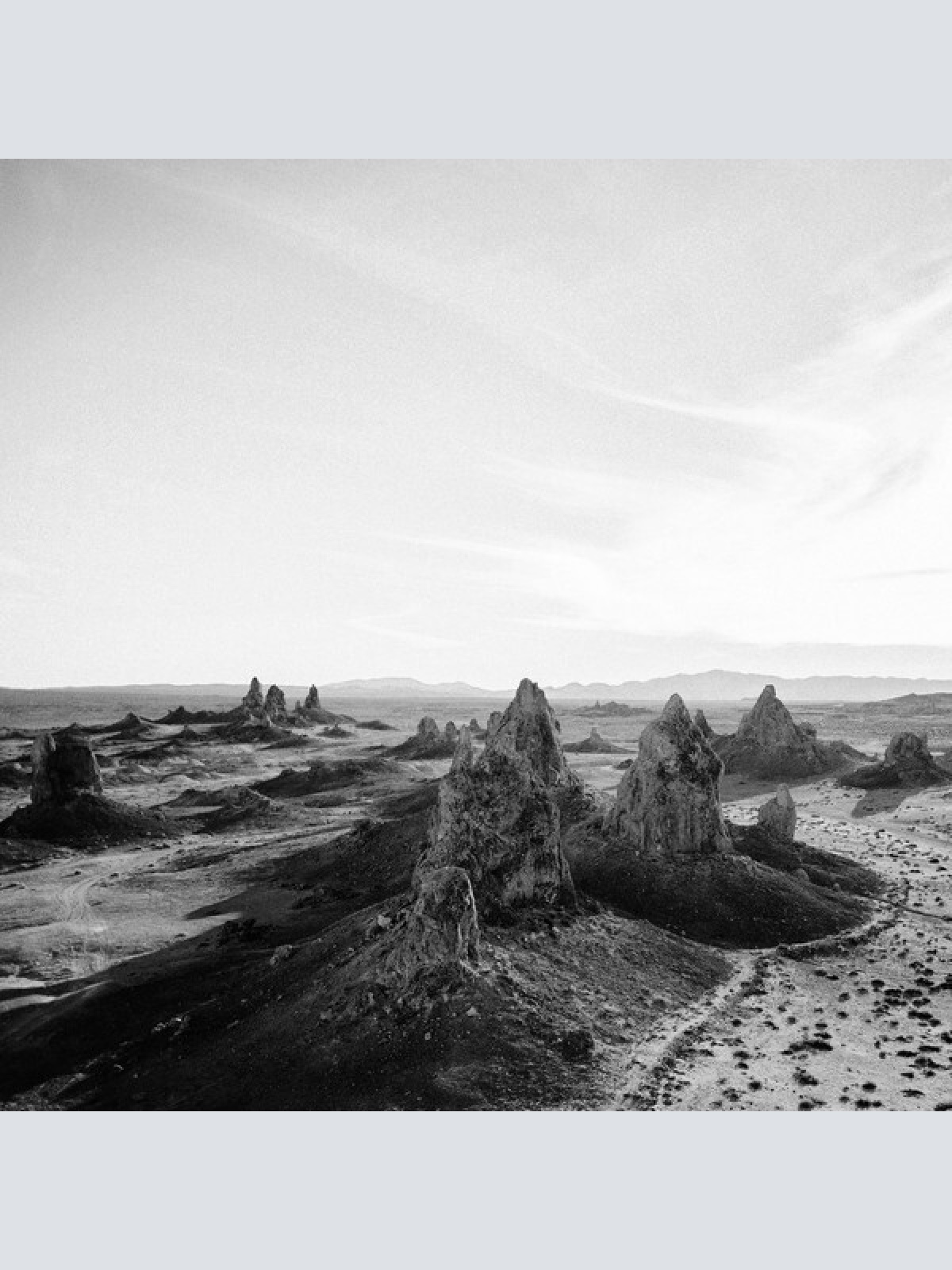 CD, Album LTO - Daear