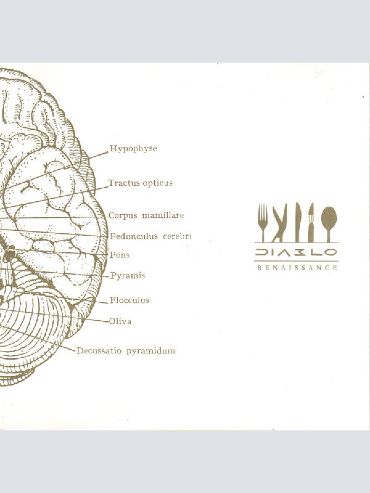 CD, Album Diablo (8) - Renaissance