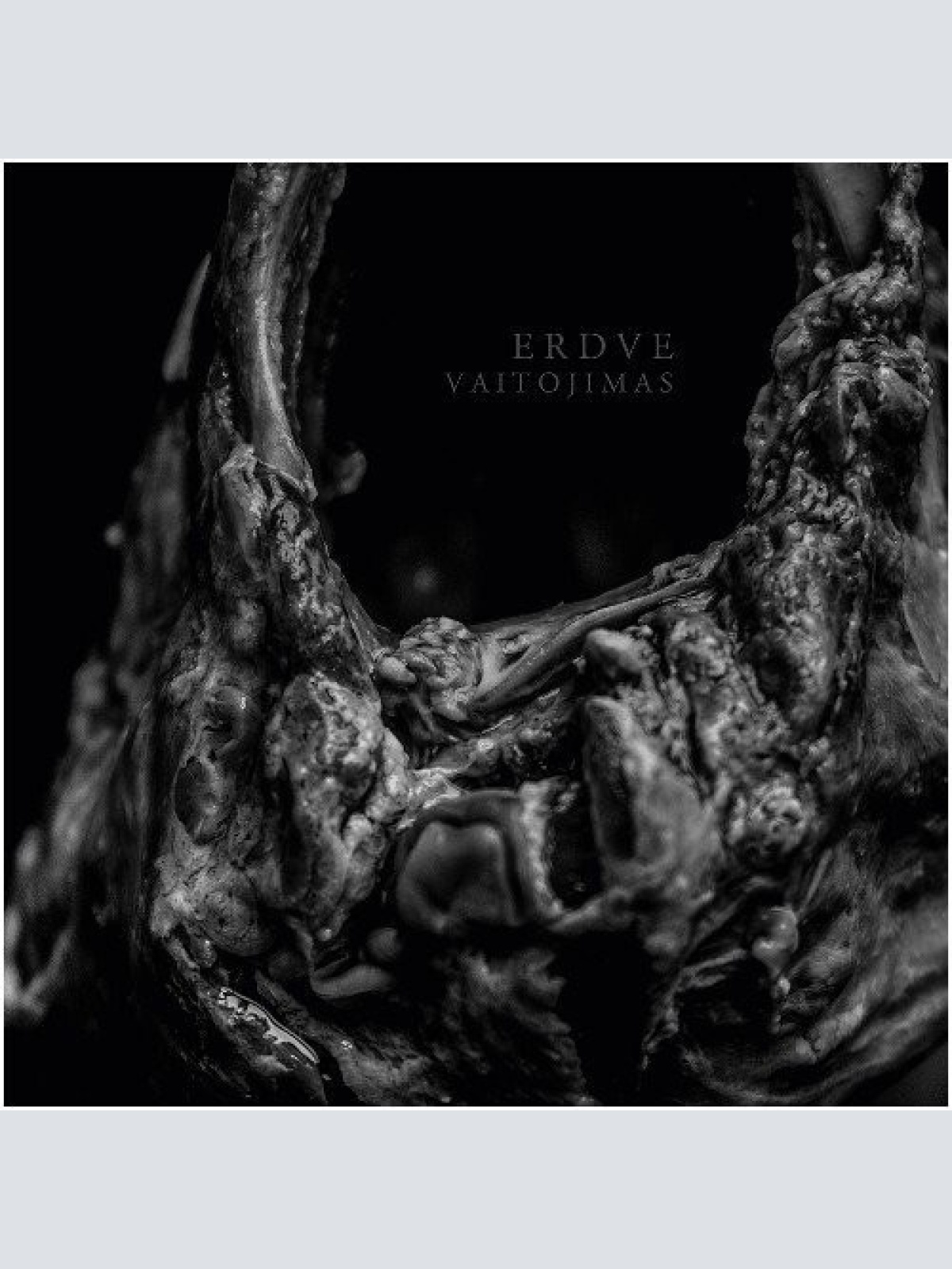 CD, Album, Ltd, Num, Dig Erdve - Vaitojimas