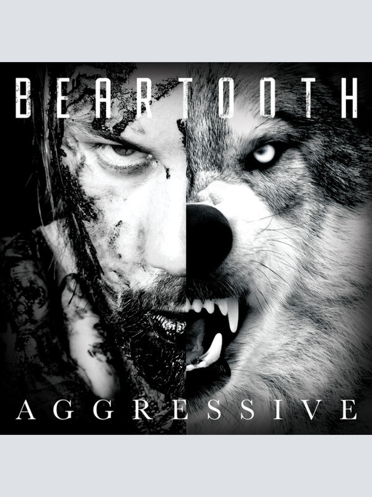 CD, Album, Dig Beartooth - Aggressive