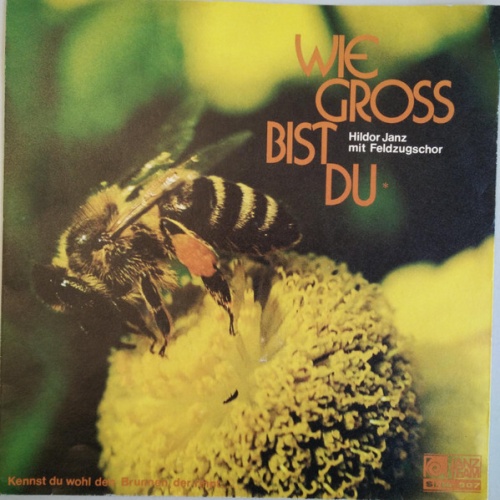 7" Hildor Janz Mit Feldzugschor - Wie Gross Bist Du