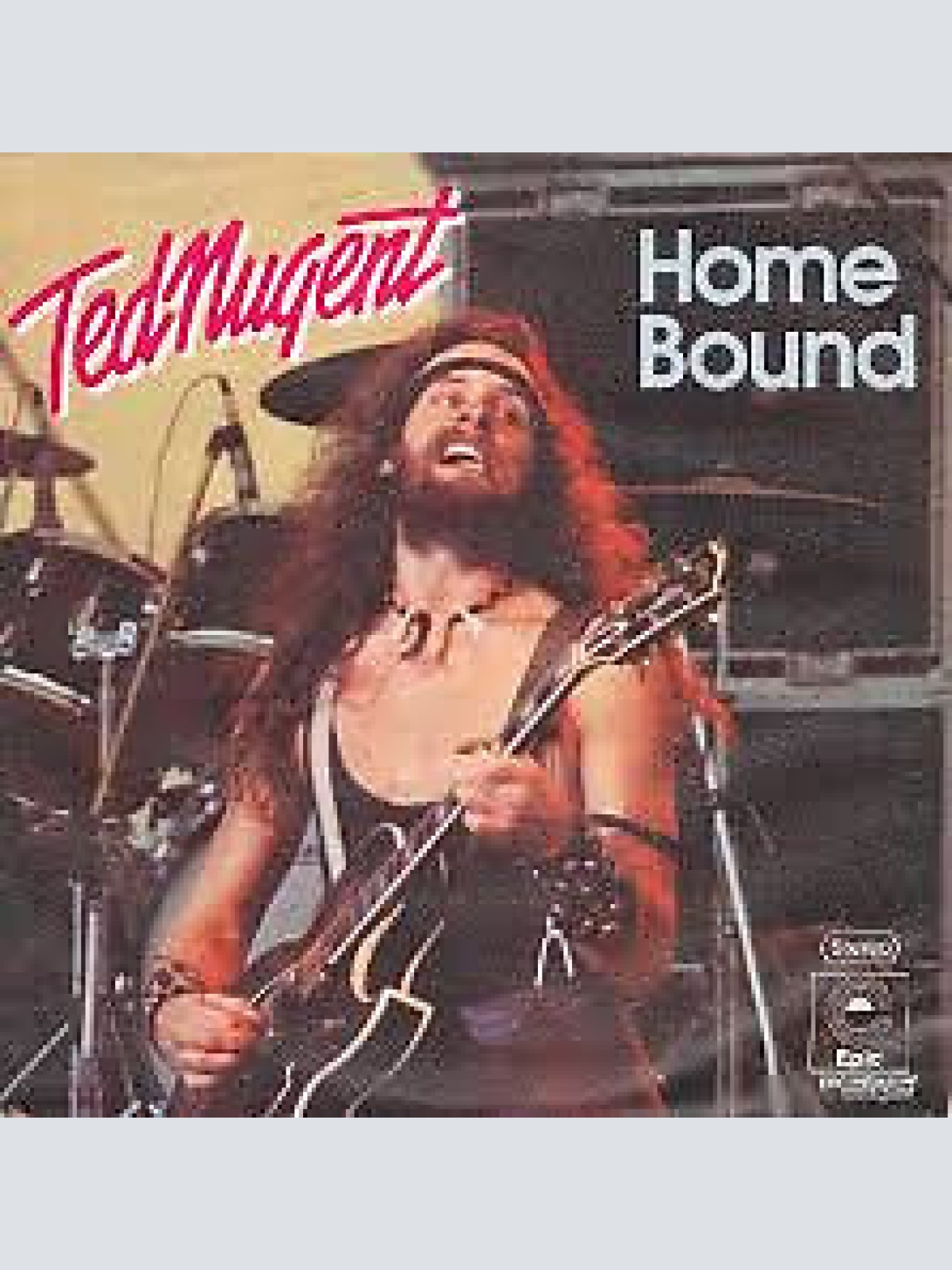 7", Single, Promo Ted Nugent - Home Bound