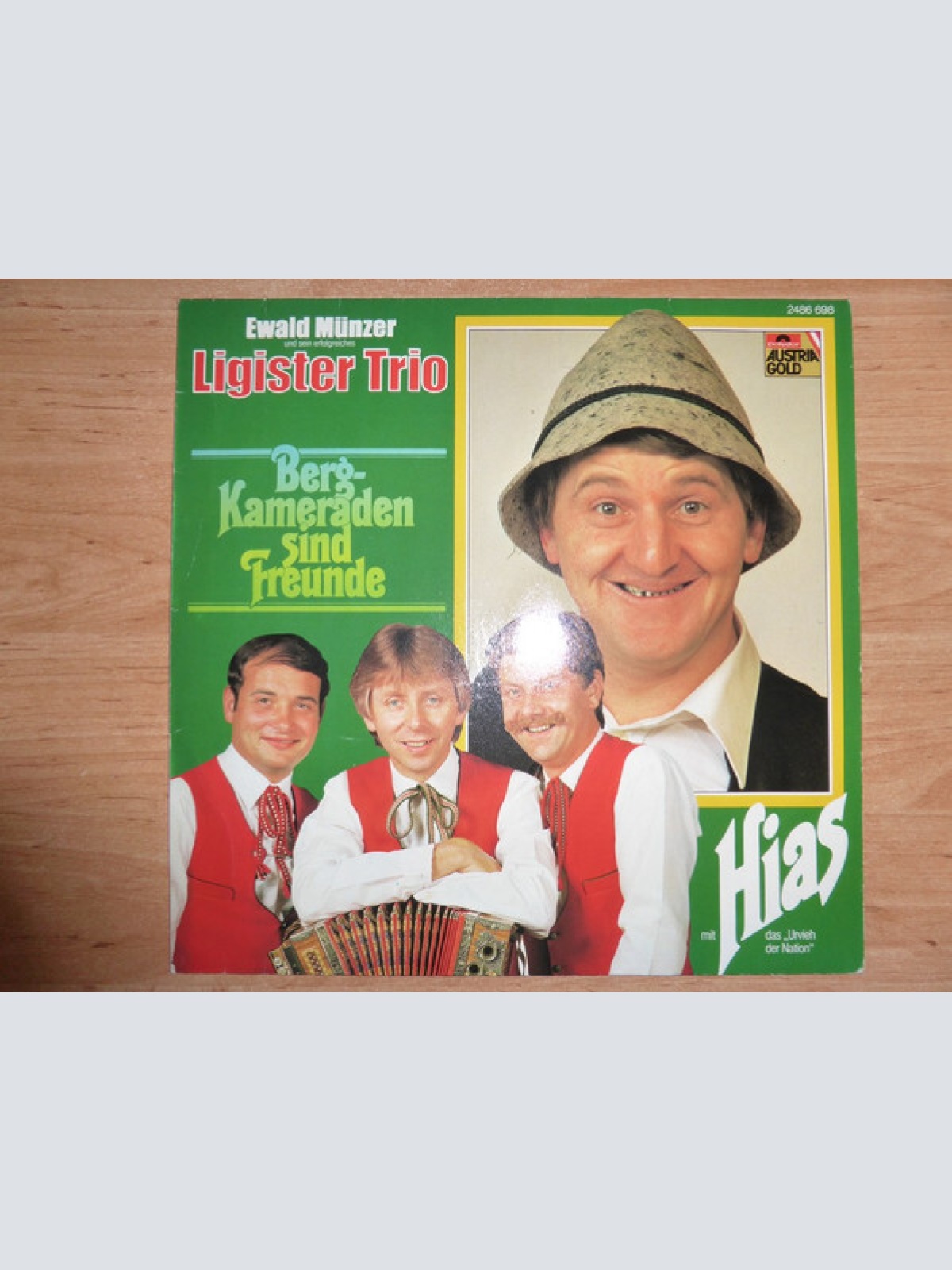 LP, Album Ewald Münzer Und Sein Erfolgreiches Ligister Trio* - Bergkameraden ...