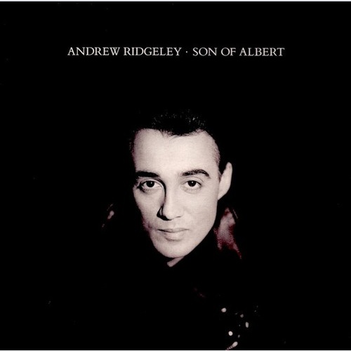 LP, Album Andrew Ridgeley - Son Of Albert