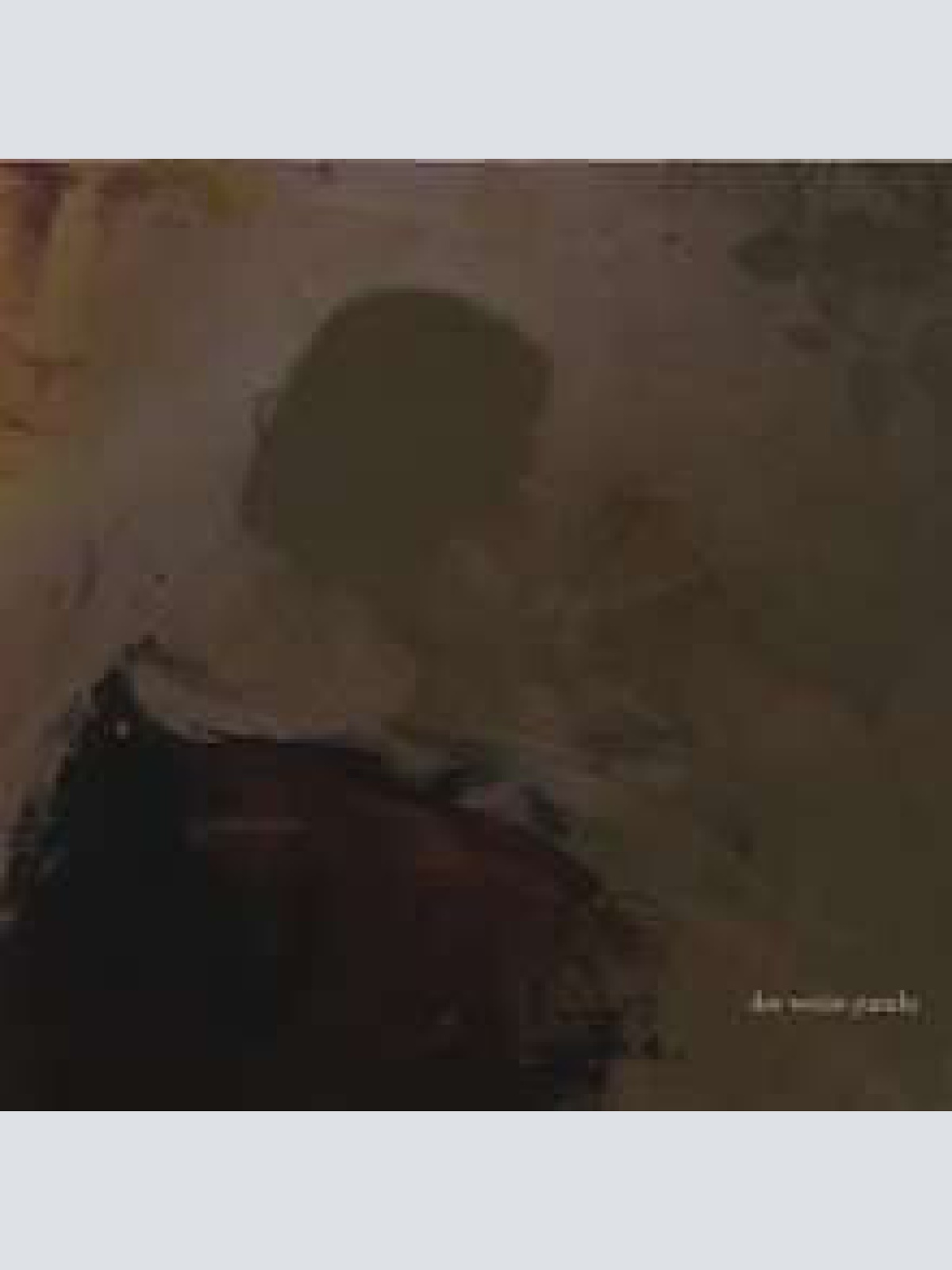 CD, Album Der Weise Panda - Der Weise Panda