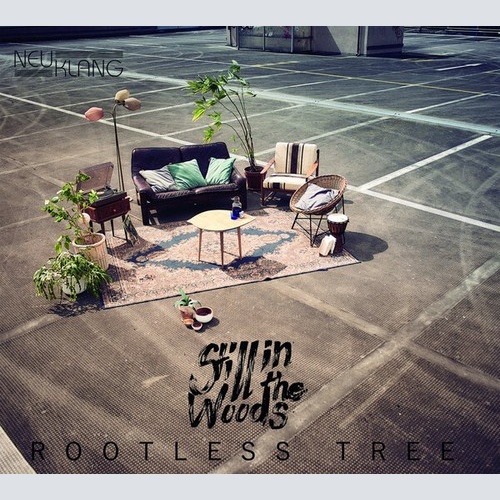 CD, Album, Dig Still In The Woods - Rootless Tree