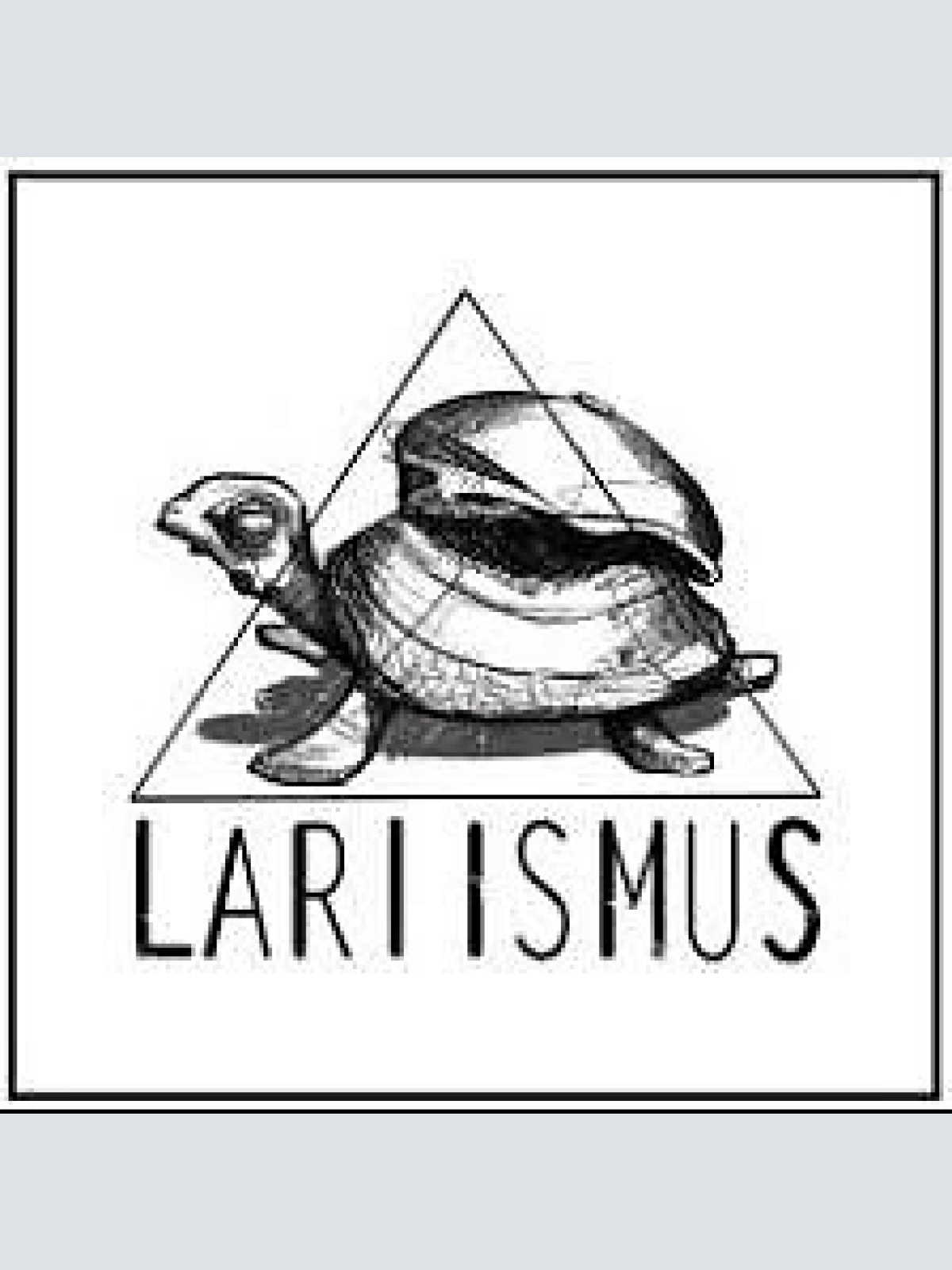 CD, Album Lari Und Die Pausenmusik - Lariismus
