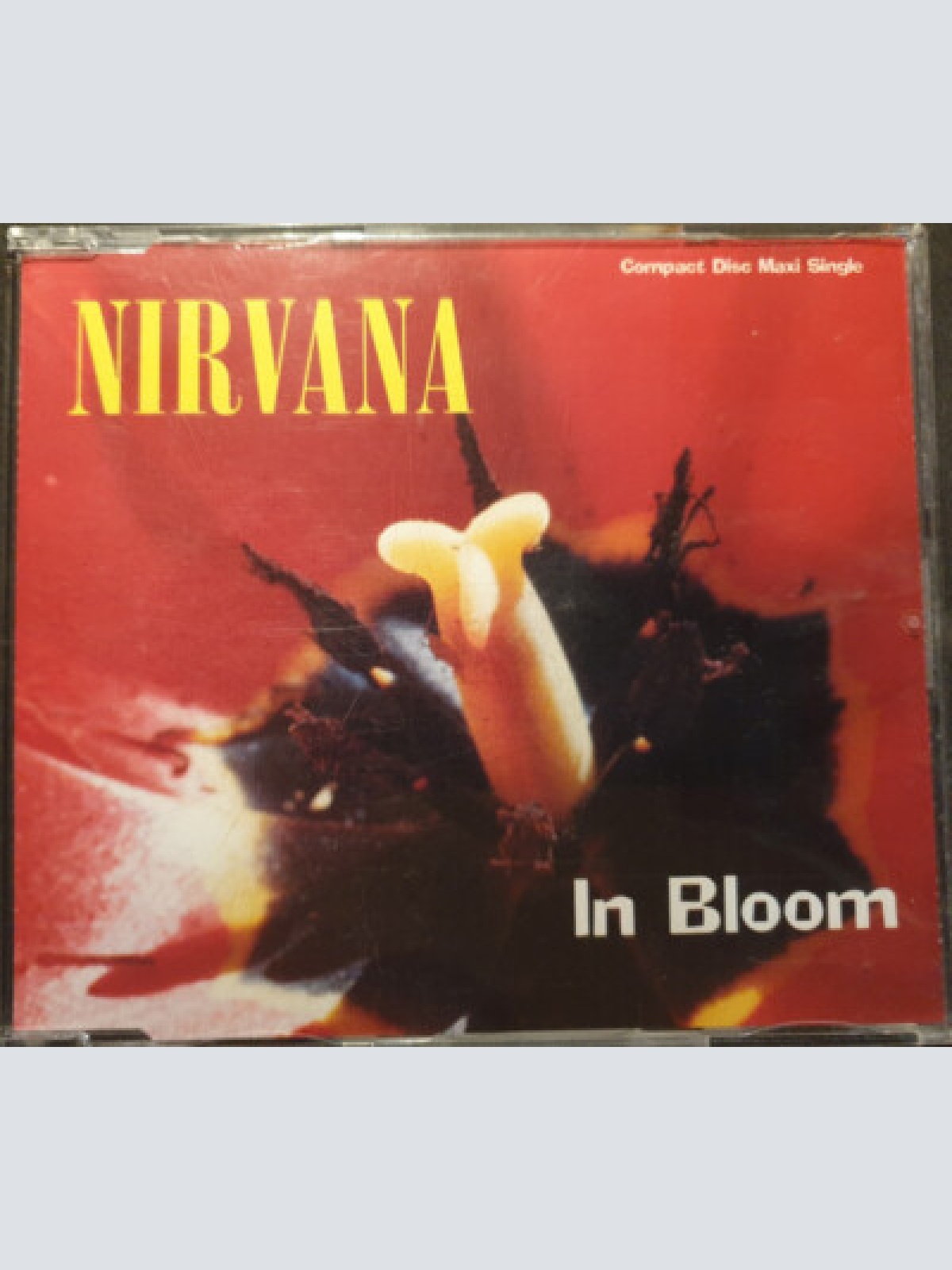 CD, Maxi, RE, Uni Nirvana - In Bloom