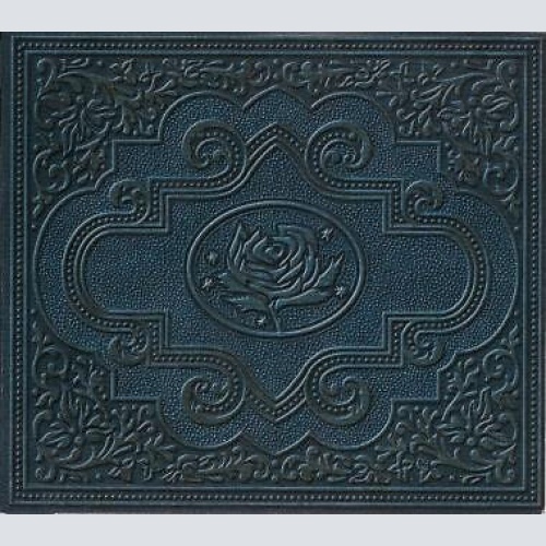 2xCD, Album Ryan Adams & The Cardinals - Cold Roses