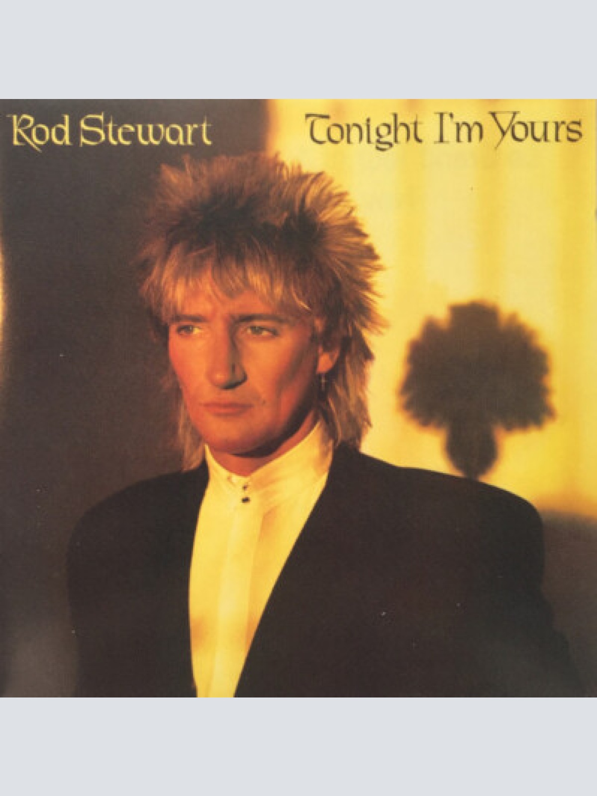 CD, Album, RE Rod Stewart - Tonight I'm Yours