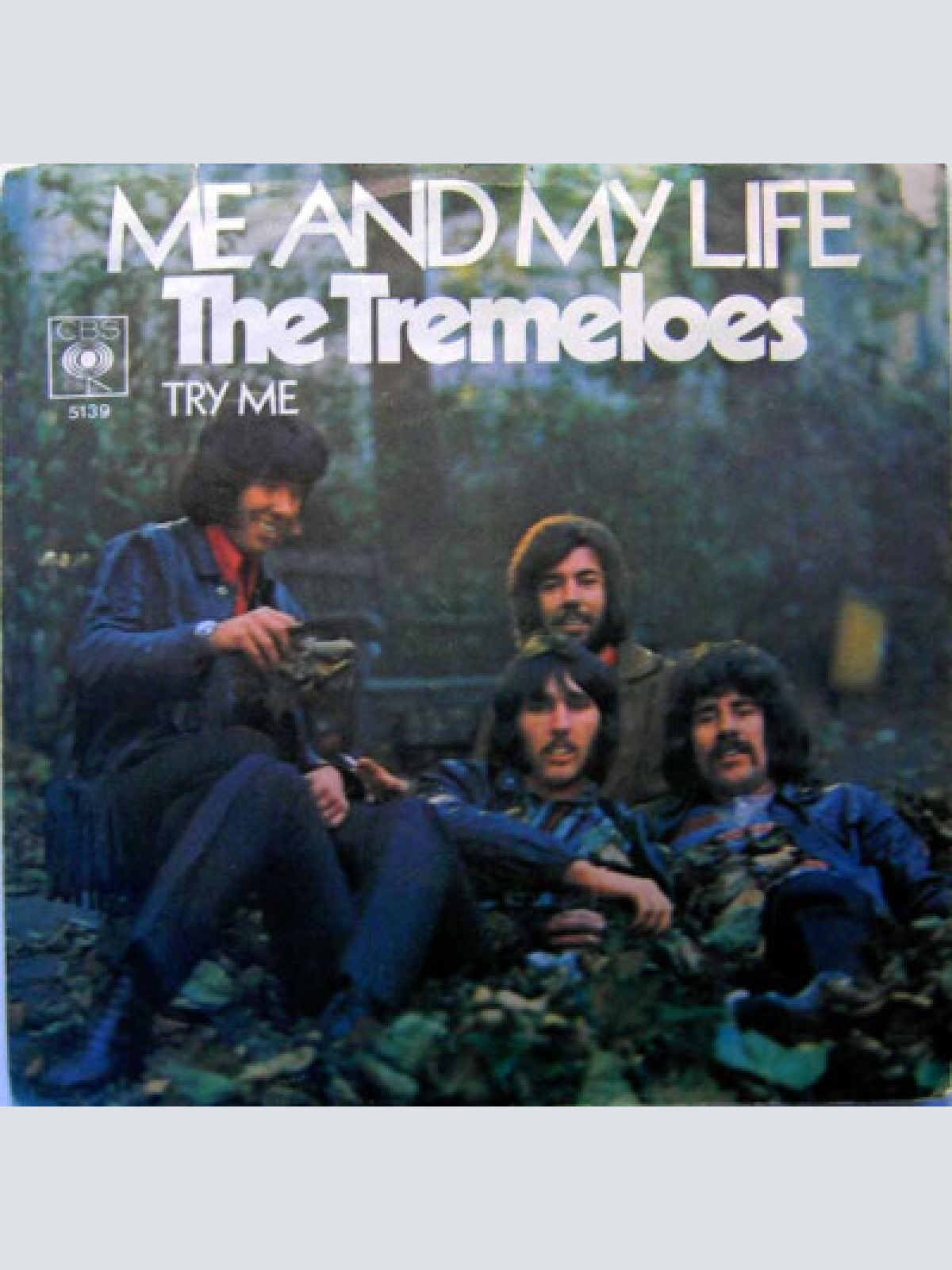 7", Single, Mono The Tremeloes - Me And My Life