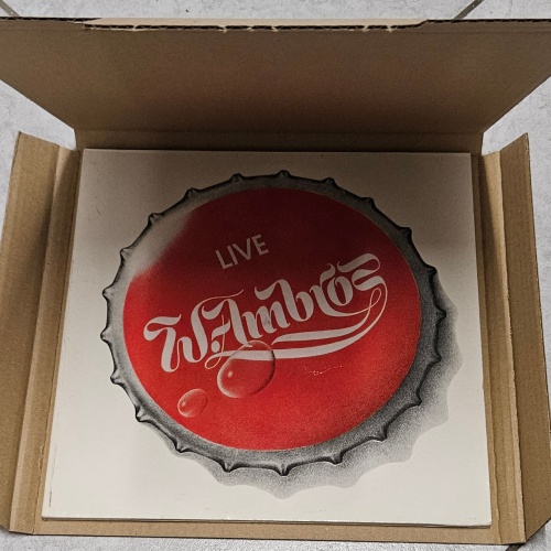 50  Stk. LP Versandkartons für 1-4  Vinyl Schallplatten LPs 325x325x15 mm stark