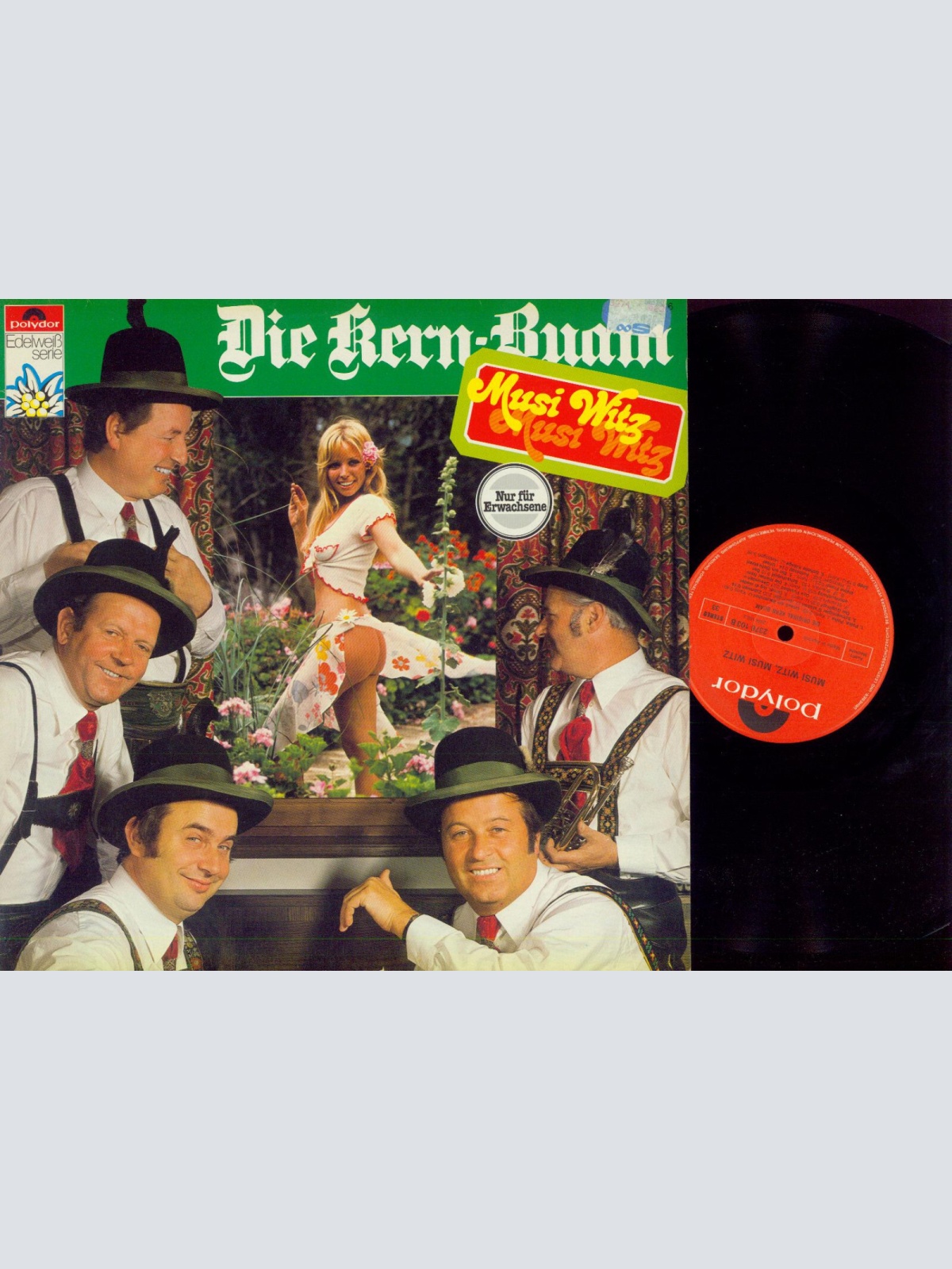 LP--Die Kern Buam    Musi Witz   Edelweiss Serie