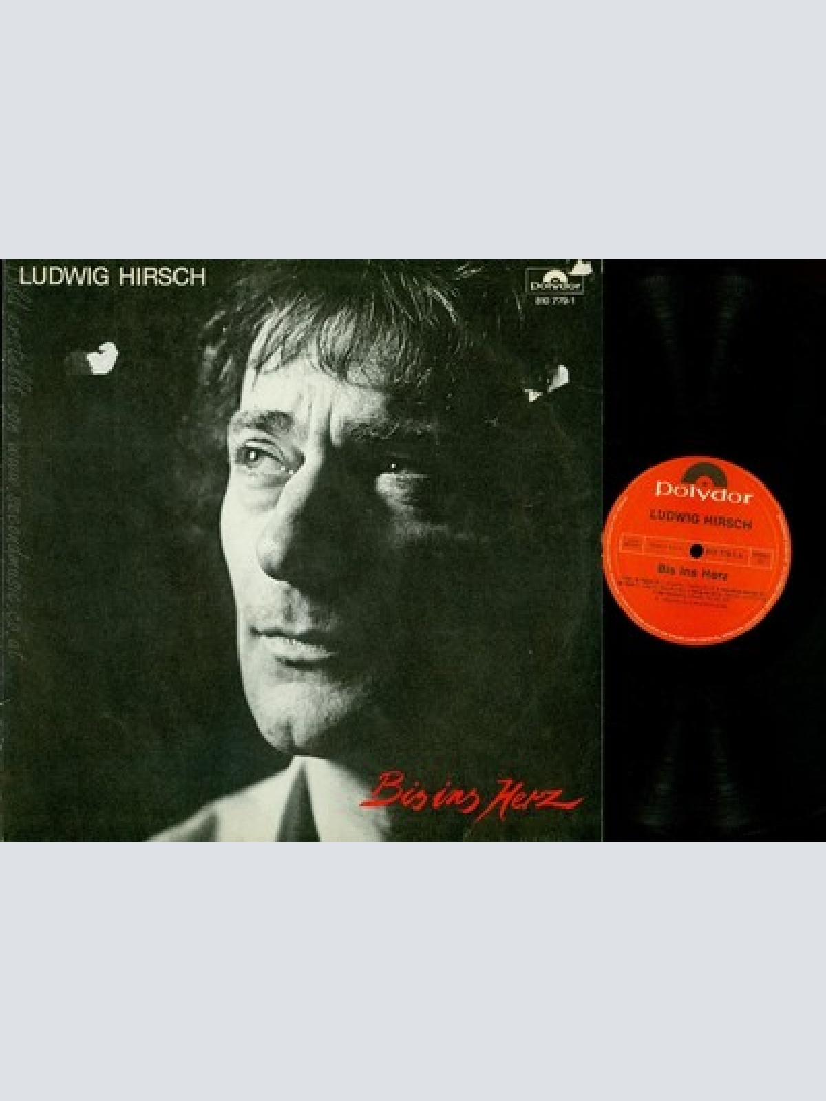 LP--LUDWIG HIRSCH--BIS INS HERZ--