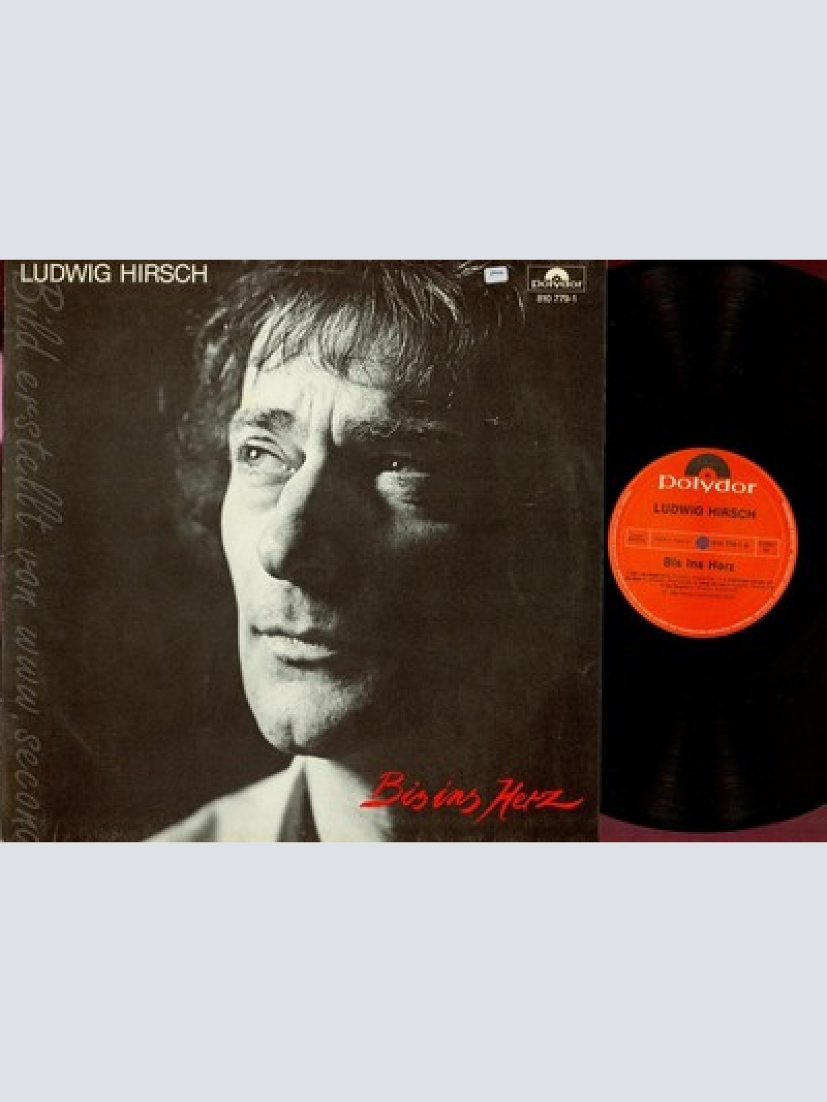 LP--LUDWIG HIRSCH--BIS INS HERZ--VG