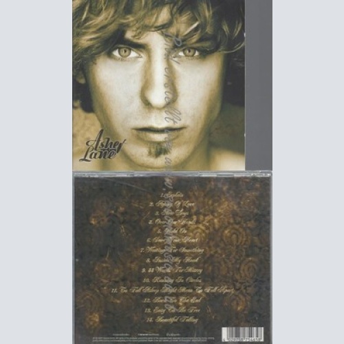 CD--ASHER LANE -- -- BEAUTIFUL FALLING