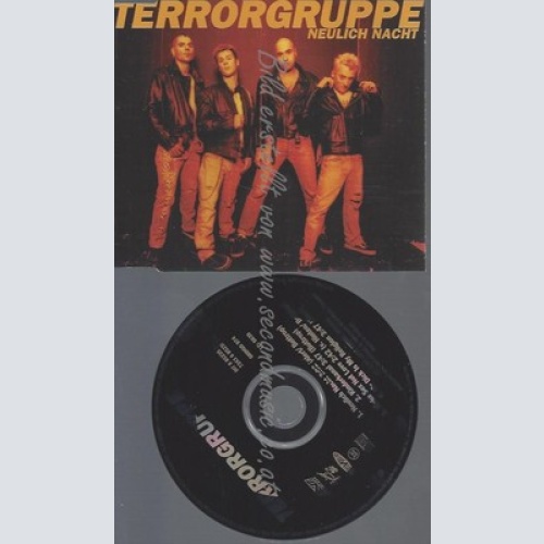 CD--TERRORGRUPPE -- - SINGLE -- NEULICH NACHT