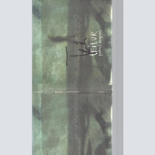 CD--TEITUR -- -- POETRY & AEROPLANES