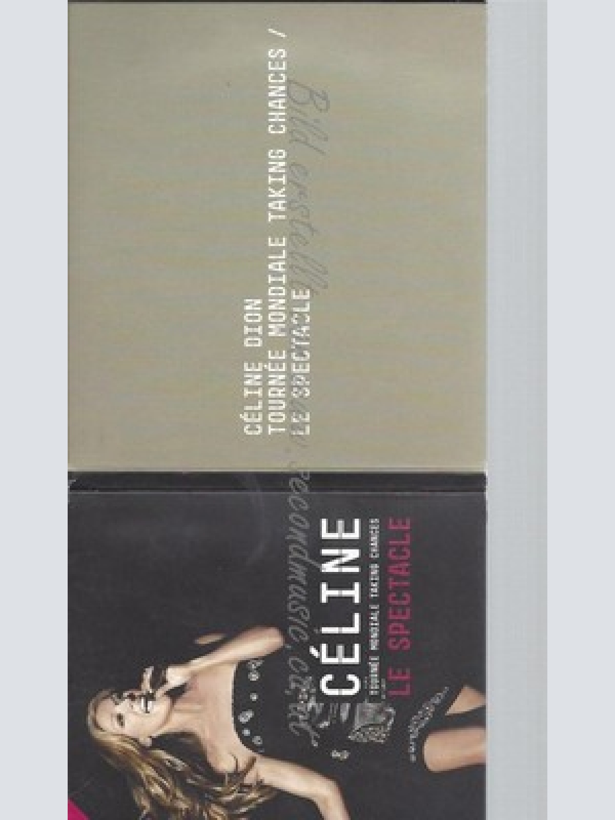 CD--CELINE DION -MONDIALE TAKING CHANGES