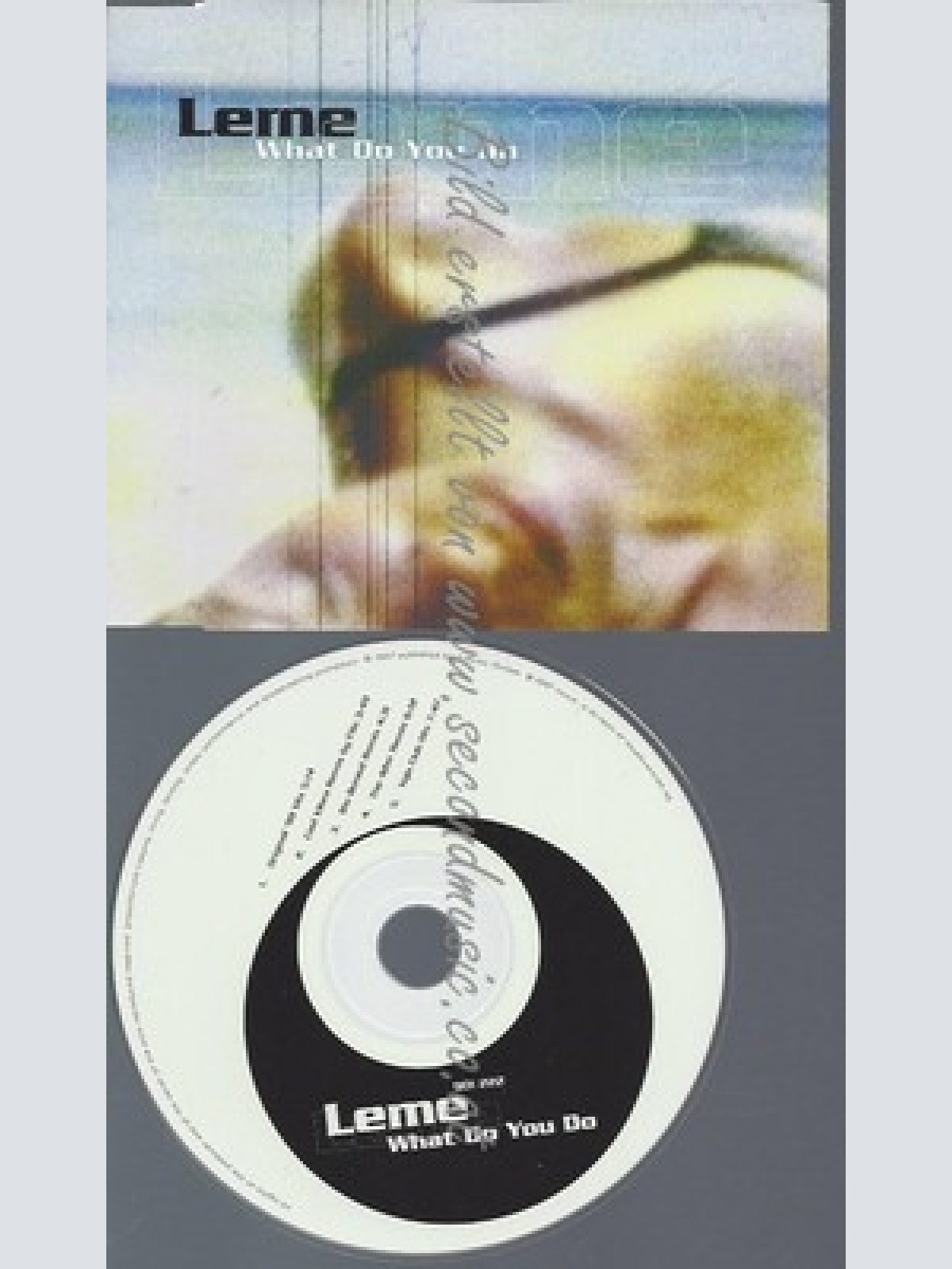 CD--LERNE--WHAT DO YOU WANT