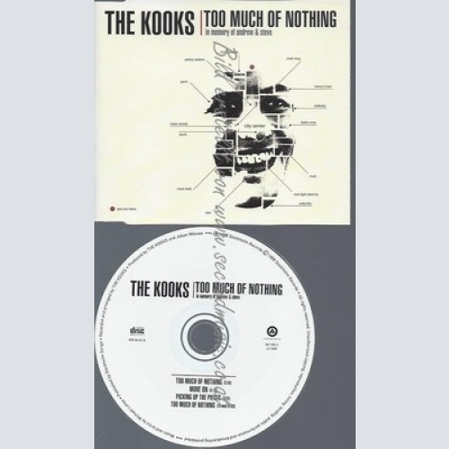 CD--KOOKS,THE--TOO MUCH OF NOTHING