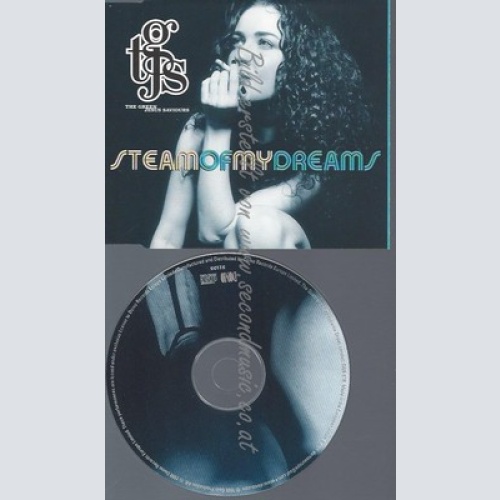 CD--THE GREEN JESUS SAVIOURS--STEAM OF MY DREAMS