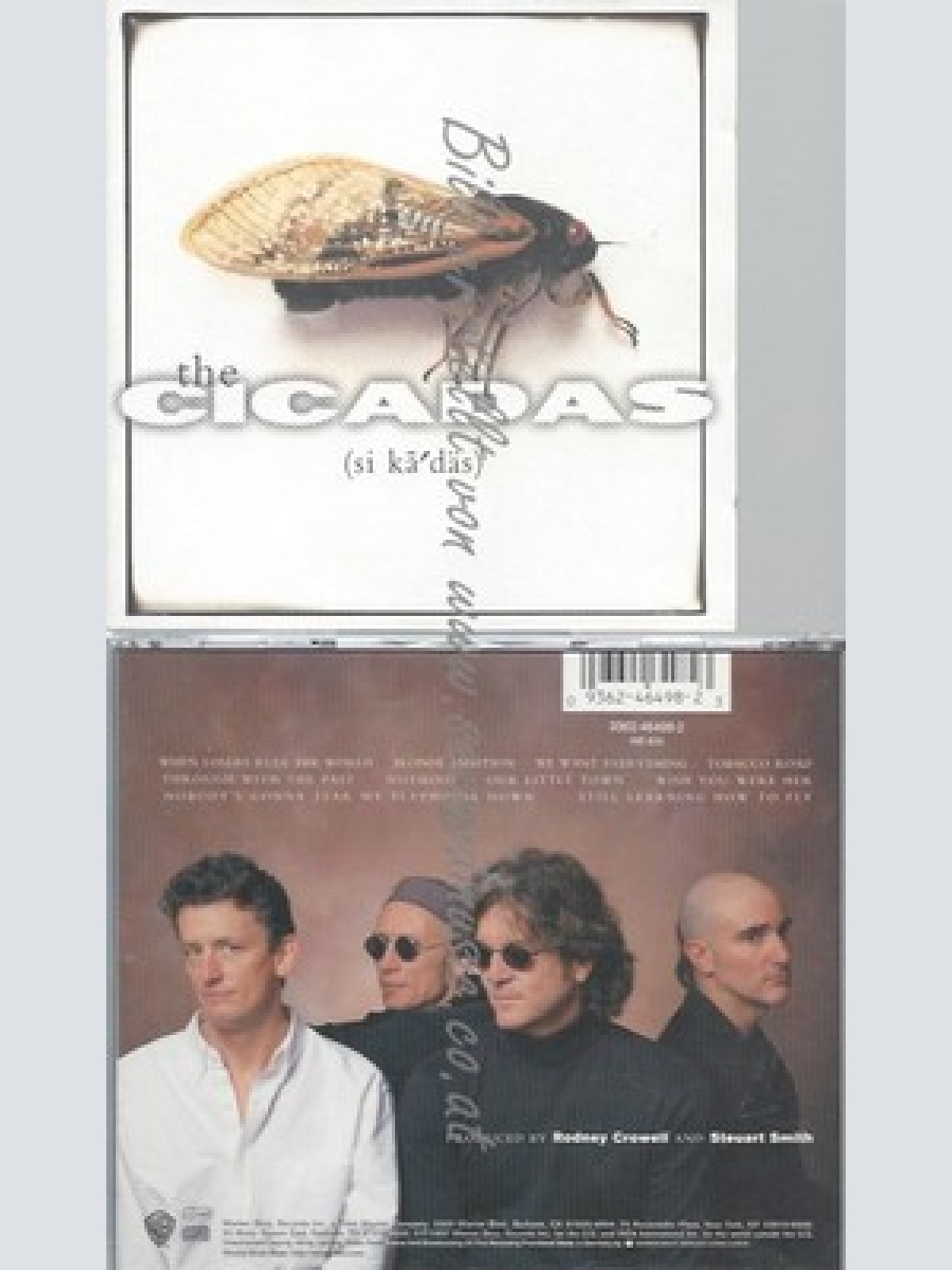 CD--CICADAS UND CICADA--CICADAS