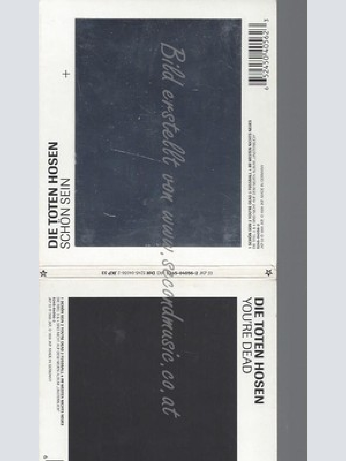 CD--TOTEN HOSEN,DIE--SCHÖN SEIN