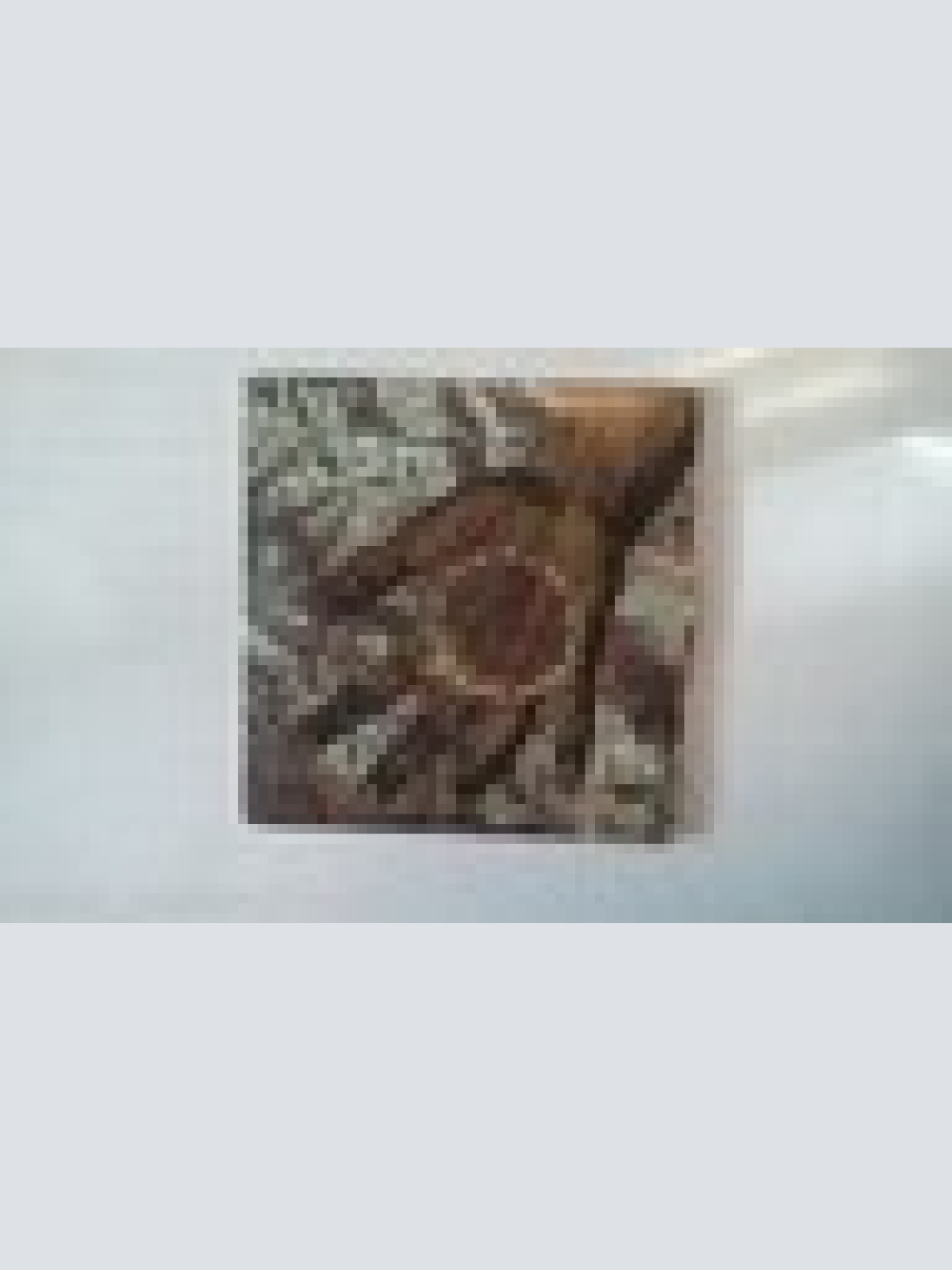 3 INCH  CD SINGLE --SIMPLE MINDS --THIS IS YOUR LAND --3 TRACKS