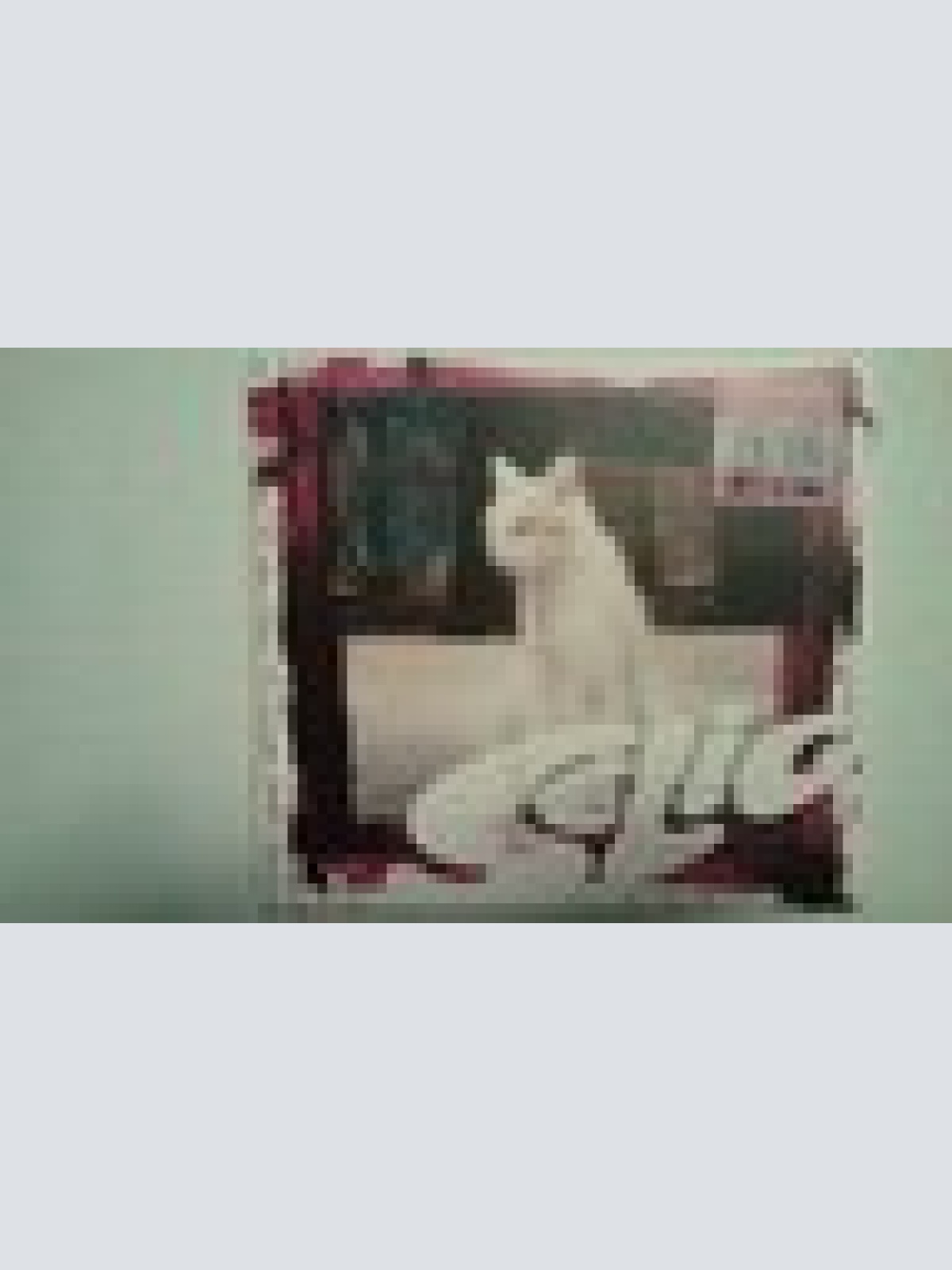 CD- SELIG --SCHAU SCHAU -- 3 TRACKS + VIDEO