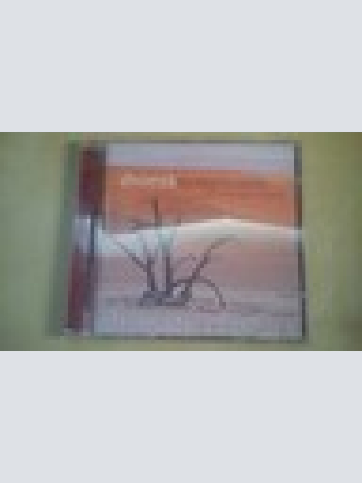 CD--DVORAK --SYMPHONIE ----ALBUM